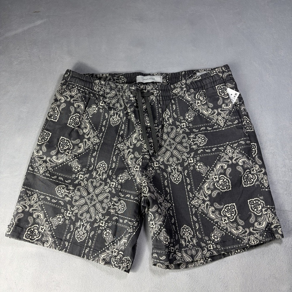 Pacsun Volle Shorts Mens Size Large Gray  Drawstring Volley